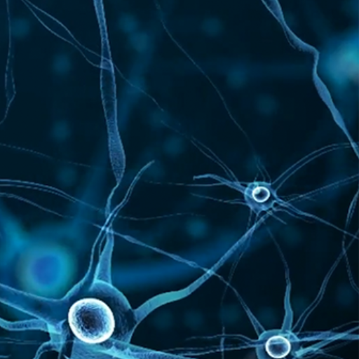 Dein DIGITALES Notizbuch